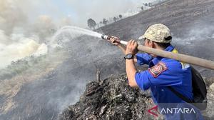 Asap Kebakaran Hutan Kalimantan Memburuk, Utara Bandara Jadi Fokus Penanganan