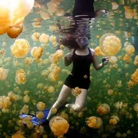 National Geographic merilis Photo of the Day: From Your Favorite in 2015 di websitenya.