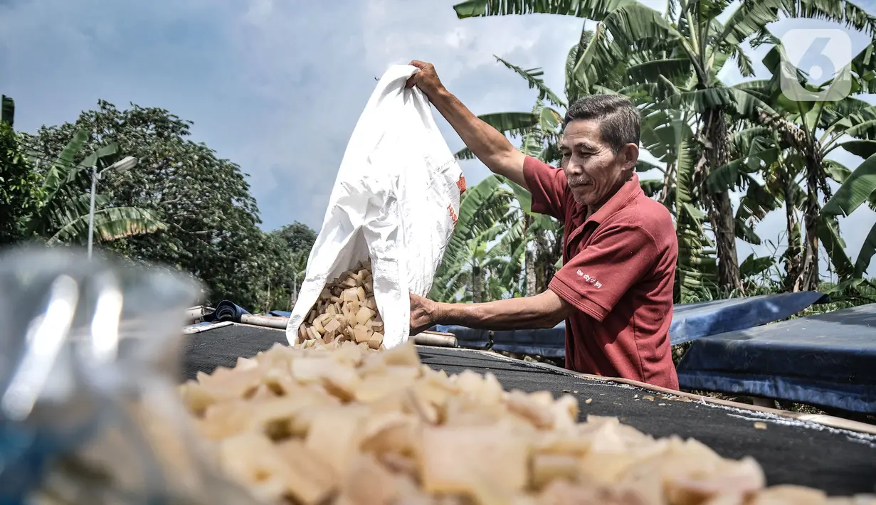 Pekerja menjemur kerupuk kulit di industri rumahan kawasan Bogor, Jawa Barat, Minggu (26/9/2021). Sebelum Covid-19 melanda biasanya pelaku usaha kerupuk kulit mampu memproduksi 30 lembar kulit sapi dalam sehari, namun kini hanya 12-15 lembar kulit per hari. (merdeka.com/Iqbal S Nugroho)