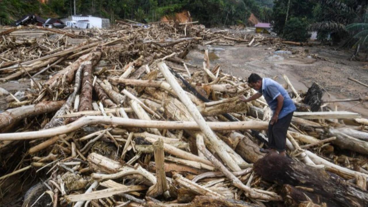 Kemenhut Jelaskan Asal Usul Gelondongan Kayu Berlabel Kementerian di Lampung Diduga Hanyut Akibat Bencana Sumatra