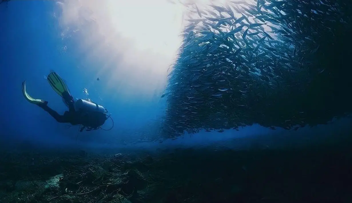 Tak sekedar hobi, Prilly Latuconsina juga memiliki sertifikat menyelam. Unggahan Prilly ini langsung dibanjiri komentar positif dari netizen [instagram/prillylatuconsina96]