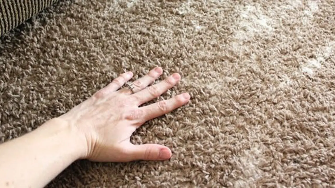 Tips menghilangkan bau karpet/copyright Carpet Vidalondon