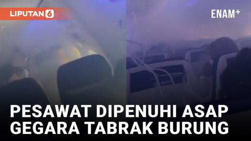 VIDEO: Asap Penuhi Kabin Pesawat Pasca Menabrak Burung
