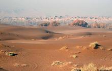 46 Tahun Tanam Pohon di Gurun, China Berhasil Bikin Tembok Hutan Buatan Sepanjang 3.000 Kilometer