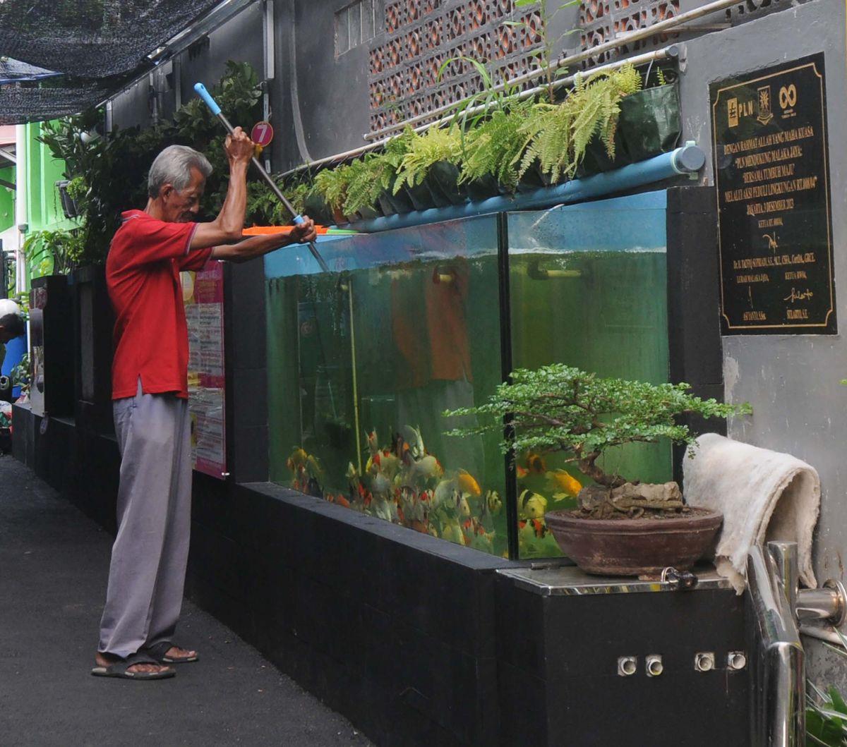 Seorang pria membersihkan kolam gizi yang dibangun warga&nbsp;RT008/RW04 Malaka Jaya, Duren Sawit, Jakarta Timur, Kamis (2/5/2024). Berlokasi di pinggiran&nbsp;Gang 8 Jalan Nusa Indah IV, sekelompok warga tersebut membangun kolam gizi sebagai upaya ketaha