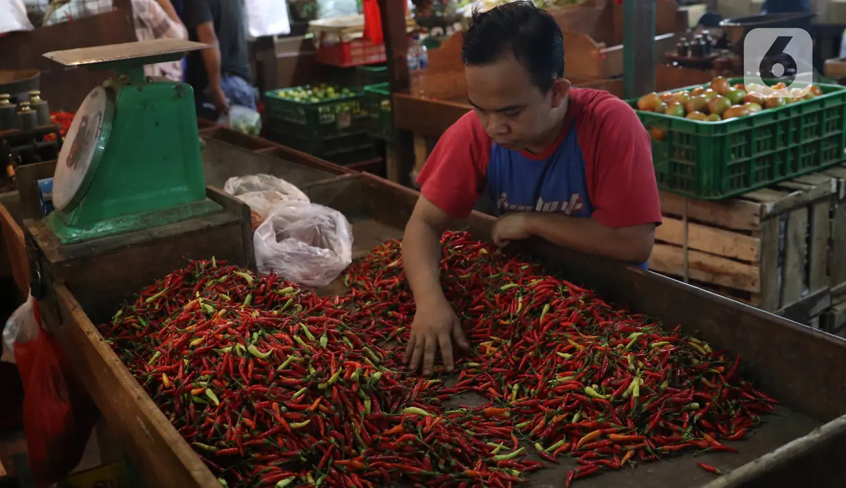 Aktivitas perdagangan cabai di Pasar Senen, Jakarta, Selasa (14/1/2020). Pada musim penghujan tahun ini harga berbagai macam cabai di pasar tersebut  meroket dari hanya Rp20 ribu per kilogram naik hampir mencapai Rp80 ribu. (Liputan6.com/Angga Yuniar)
