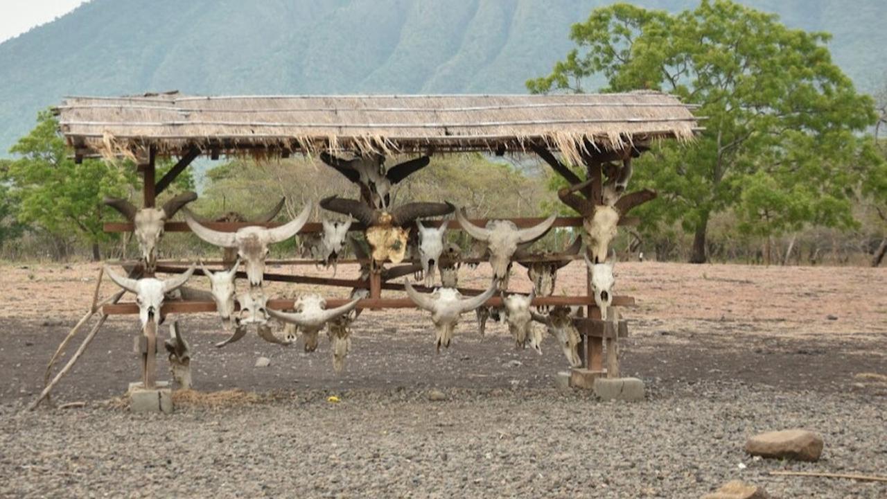Taman Nasional Baluran