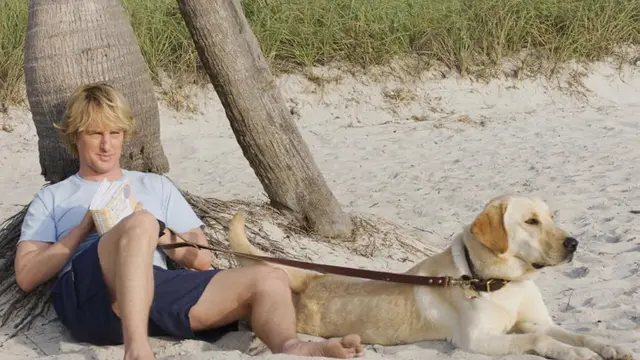 Marley & Me (2008)