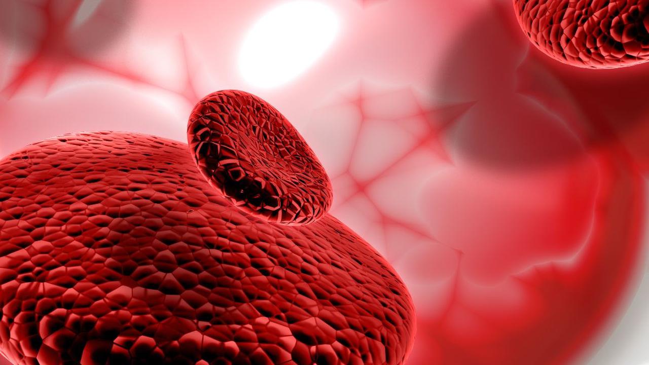 <b>Meningkatkan Suplai Darah</b><br>