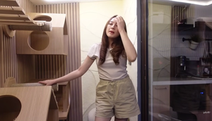 Kandang Kucing di Rumah Salshabilla Adriani dan Ibrahim Risyad (Foto: Salshabilla TV)