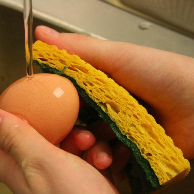 71 Gambar Kolase Kulit Telur HD