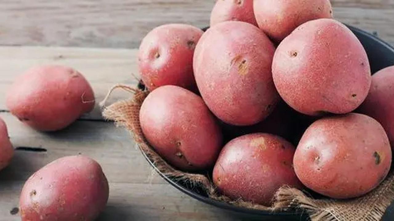 Sayuran Tinggi Protein yang Mudah Ditanam Sendiri, Cocok untuk Pola Makan Sehat