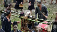 Sekelompok orang dari etnis Miao membawa anjing diletakan di kursi saat festival dog carrying day di provinsi Guizhou, Tiongkok (2/9). Acara ini menampilkan dan memamerkan anjing duduk di kursi yang digotong oleh masyarakat Miao. (AFP Photo/STR/China Out)