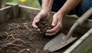 Cara Mengolah Tanah agar Subur dan Gembur: Panduan Lengkap untuk Lahan dan Kebun