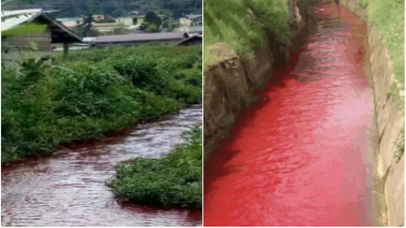 Aliran Sungai Nsukwa di Ghana berubah menjadi merah, mirip darah pada 7 Oktober 2017