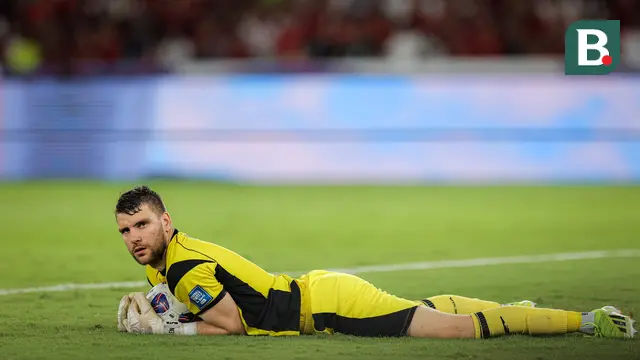 Maarten Paes, Timnas Indonesia