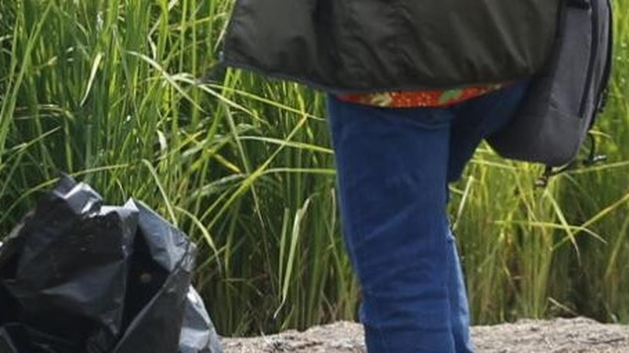 Penampakan Gurun Pasir Disulap jadi Sawah, Padi Tumbuh Subur Dikelola Warganya