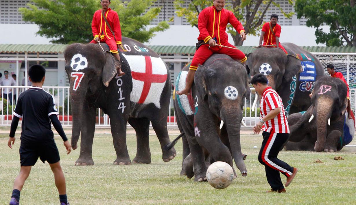 Seorang siswa berusaha mengecoh gajah saat berlaga di sebuah pertandingan di provinsi Ayutthaya, Thailand, (9/6/2014). (REUTERS/Chaiwat Subprasom)