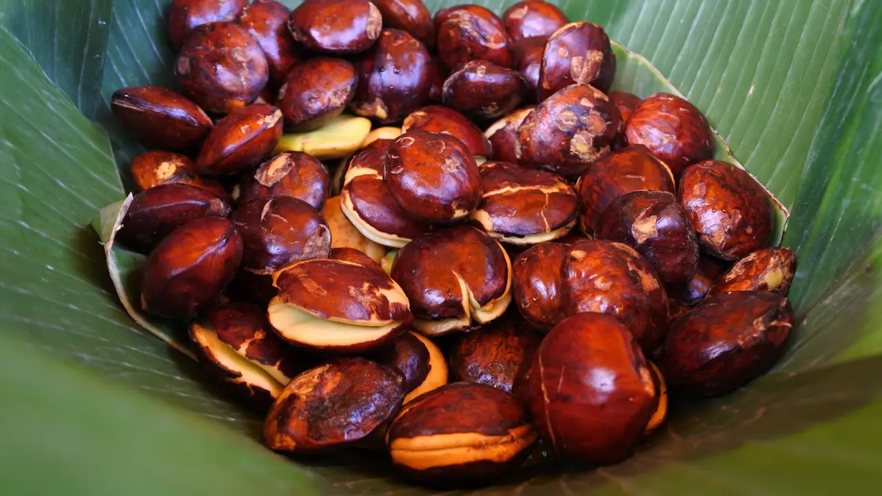 jengkol