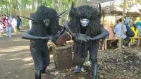 Mengenal Tradisi Kebo-keboan dari Banyuwangi