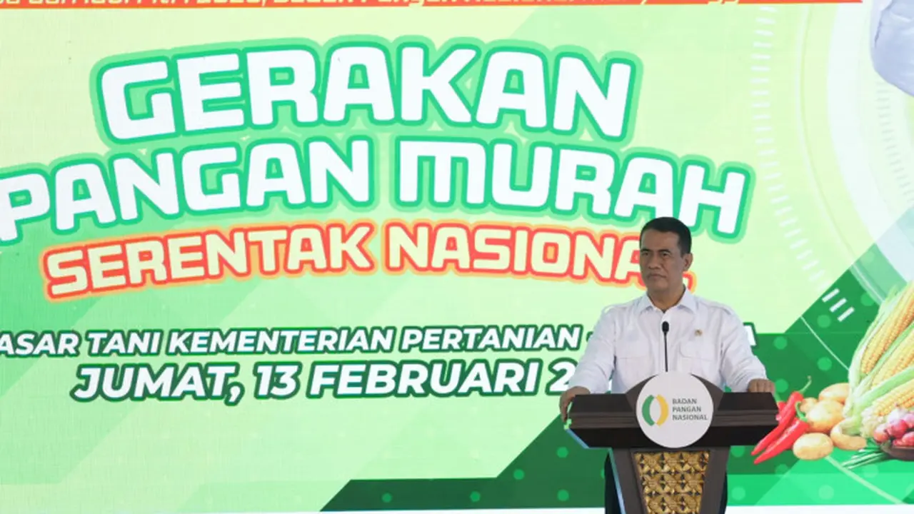 Menteri Pertanian sekaligus Kepala Badan Pangan Nasional, Amran Sulaiman. (Istimewa)