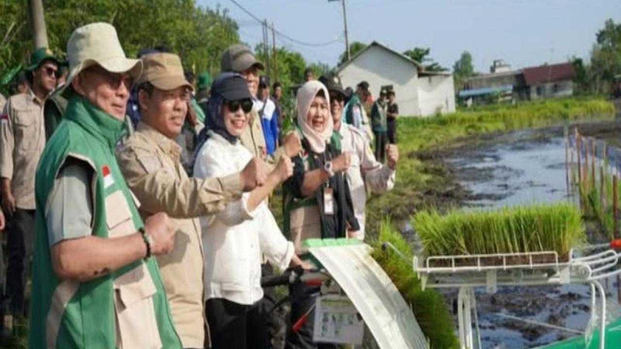 Penguatan Ekonomi Tanah Laut: Tanam Padi 35 Hektare Dorong Ketahanan Pangan Nasional