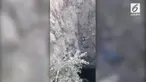 Kecelakaan mobil terjadi di Khargone, India. Pengemudi berhasil diselamatkan usai terjatuh ke dalam sumur sedalam 18 meter.