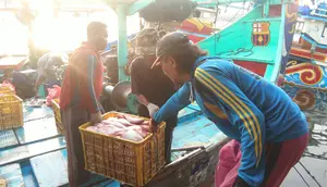 Awak Kapal Perikanan Wajib Punya Sertifikat Kompetensi hingga BPJS Ketenagakerjaan