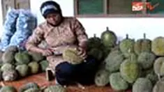 liputan6