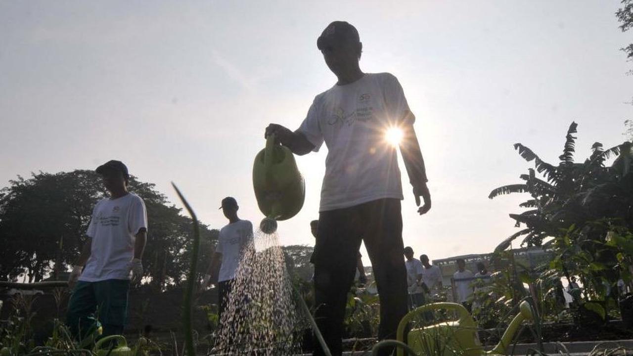 Dalam upaya pelestarian lingkungan hidup dan meningkatkan ketahanan pangan kota, Pemerintah Provinsi DKI Jakarta bersama komunitas warga dan berbagai organisasi lingkungan menggelar acara penanaman pohon di sisi lahan Kanal Banjir Timur (KBT) pada hari Se