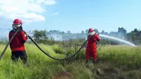Upaya pemadaman kebakaran hutan dan lahan dekat Bandara Syamsudin Noor di Kalimantan Selatan oleh tim gabungan. (dok. Biro Humas KLHK)