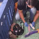 Awal Mula Perempuan Muda Ditemukan Tewas di Kamar Kos Solo