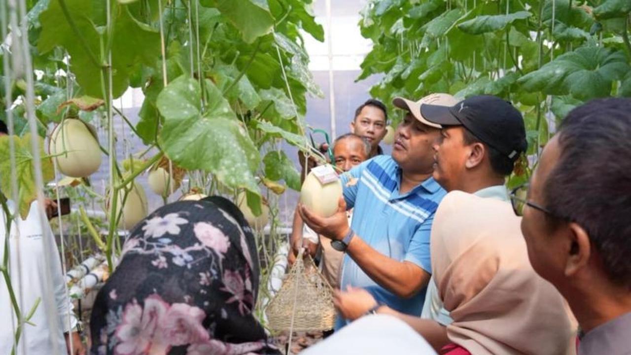 Tahukah Anda? Jakarta Timur Gencarkan Penghijauan dan Ketahanan Pangan, Ini Manfaatnya!