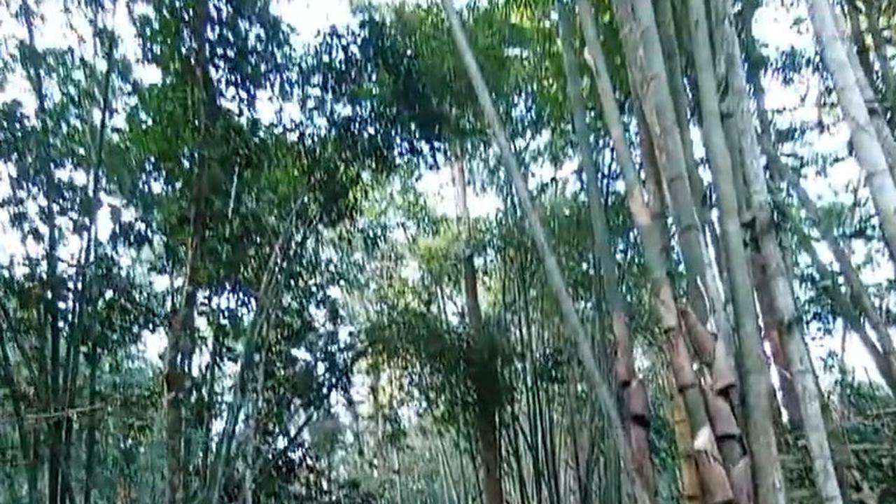 Suasana pagi di Kampung Baduy