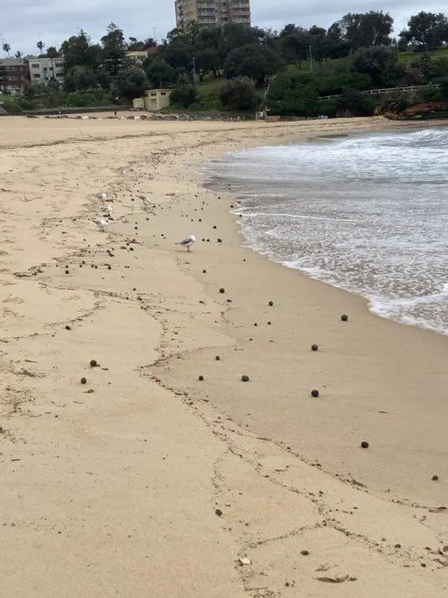 Benda misterius berbentuk bola seukuran bola golf hingga bola kriket terlihat berserakan di sepanjang pasir pantai di Sydney Australia. (randwick.nsw.gov.au)