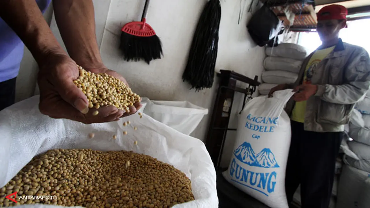kacang-kedelai-130916b.jpg