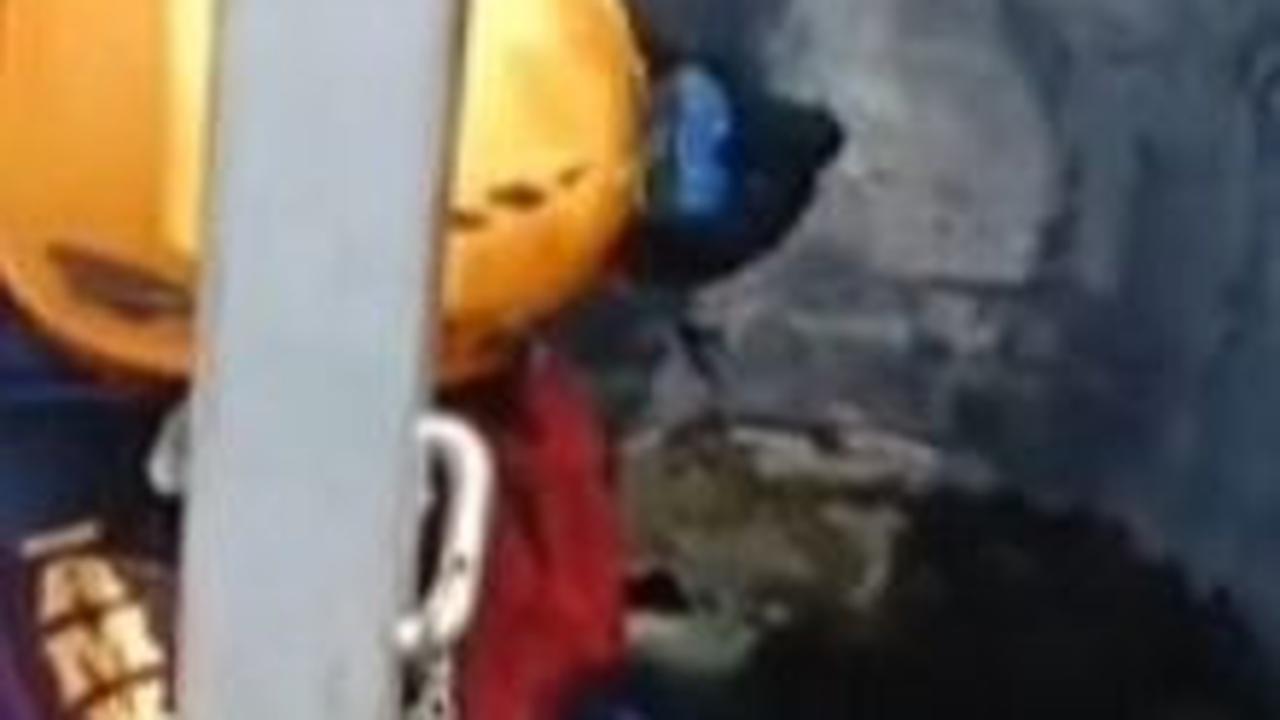 Berlangsung Dramatis, Aksi Heroik Petugas Damkar Selamatkan Kambing Bunting yang Terperosok ke Sumur Ini Curi Perhatian