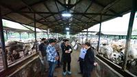 (Foto:Dok.Kementerian Pertanian RI)