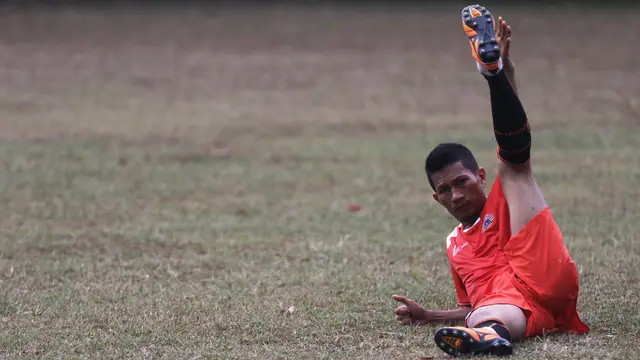 Ismed Sofyan