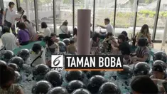 Pecinta minuman boba sepertinya harus berkunjung ke Harajuku, Jepang. Di sana sedang dibuka taman boba yang berisi ratusan vendor penjual minuman boba, hingga tempat berfoto.