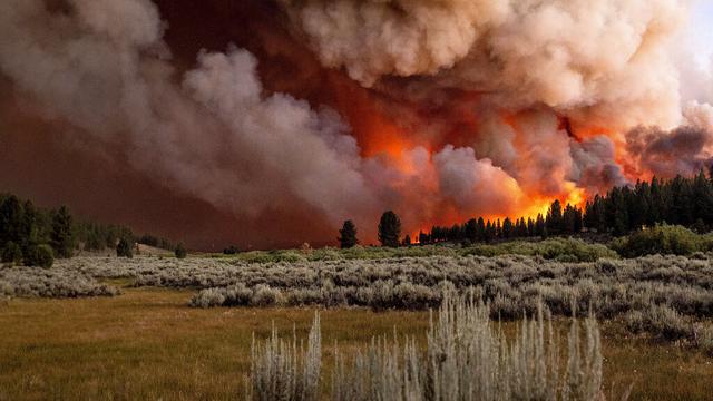 Kebakaran Hutan Hebat Landa California
