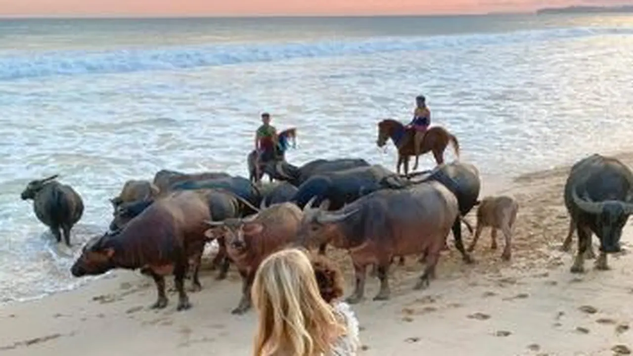 Varsha Strauss liburan di Nihi Sumba (Instagram/varshaadhikumoro)