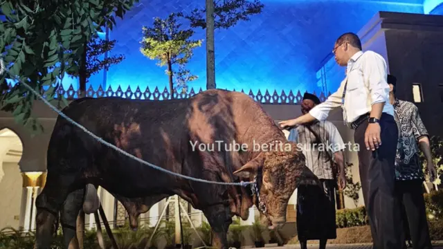 Hewan kurban dari Presiden Jokowi di Majid Raya Sheikh Zayed Solo. (Foto: Dok. YouTube Berita Surakarta)