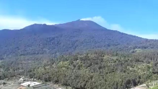 Api Membakar Ilalang Hingga Edelweis di Gunung Ciremai