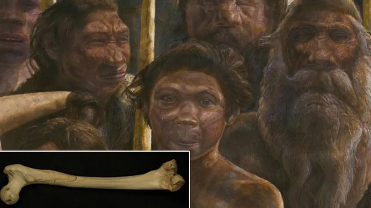 dna-manusia-tertua-131205c.jpg