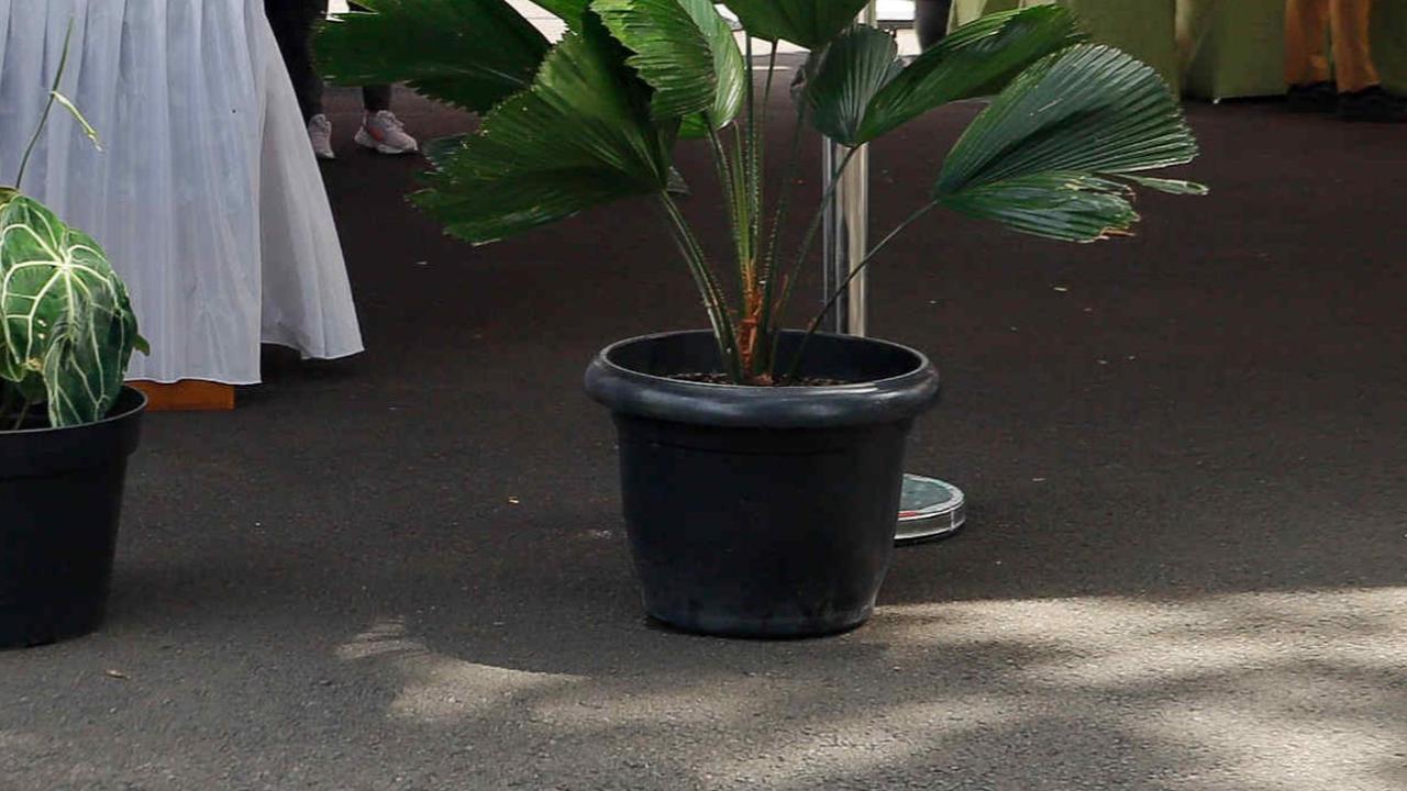 Saat ini di TPS tersebut sedang dilakukan penataan kursi, meja hingga dekorasi untuk persiapan pencoblosan. Foto: liputan6.com / Herman Zakharia