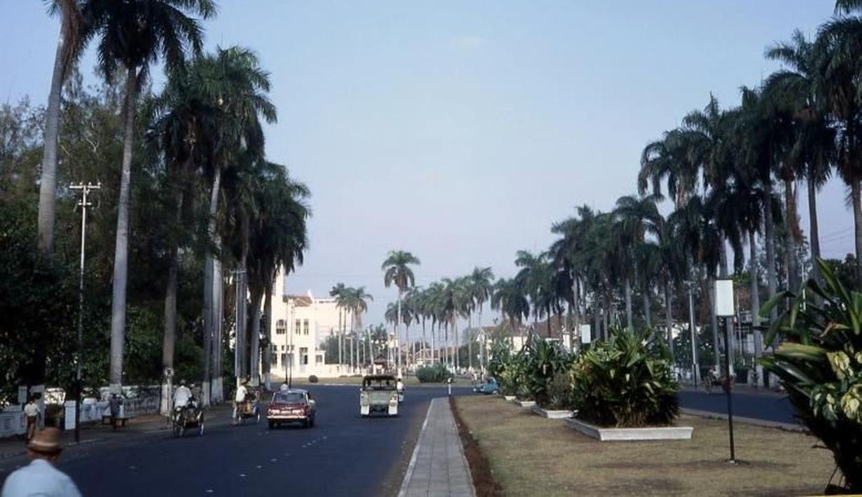 Jalan menuju Masjid Cut Meutia, masih banyak pohon kelapa dan pengendara becak (Source : IST)