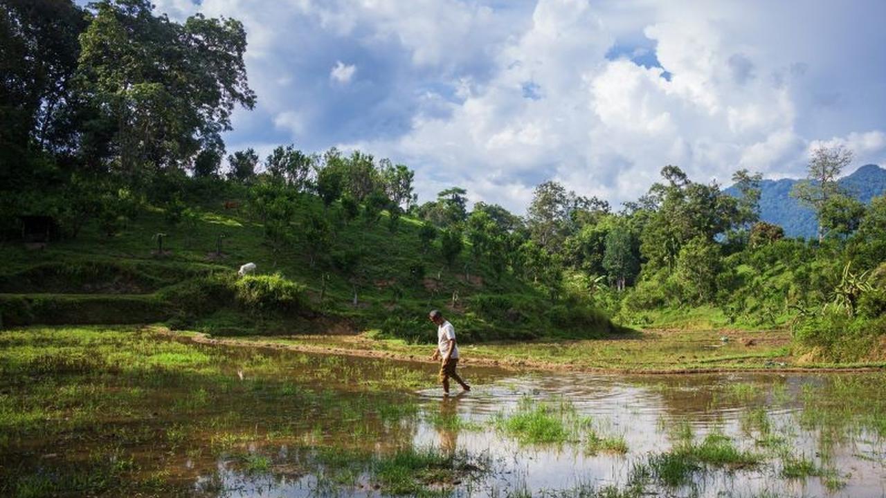 Pemerintah Pangkas Jalur Panjang Distribusi Pupuk Bersubsidi Melalui Skema Titik Serah