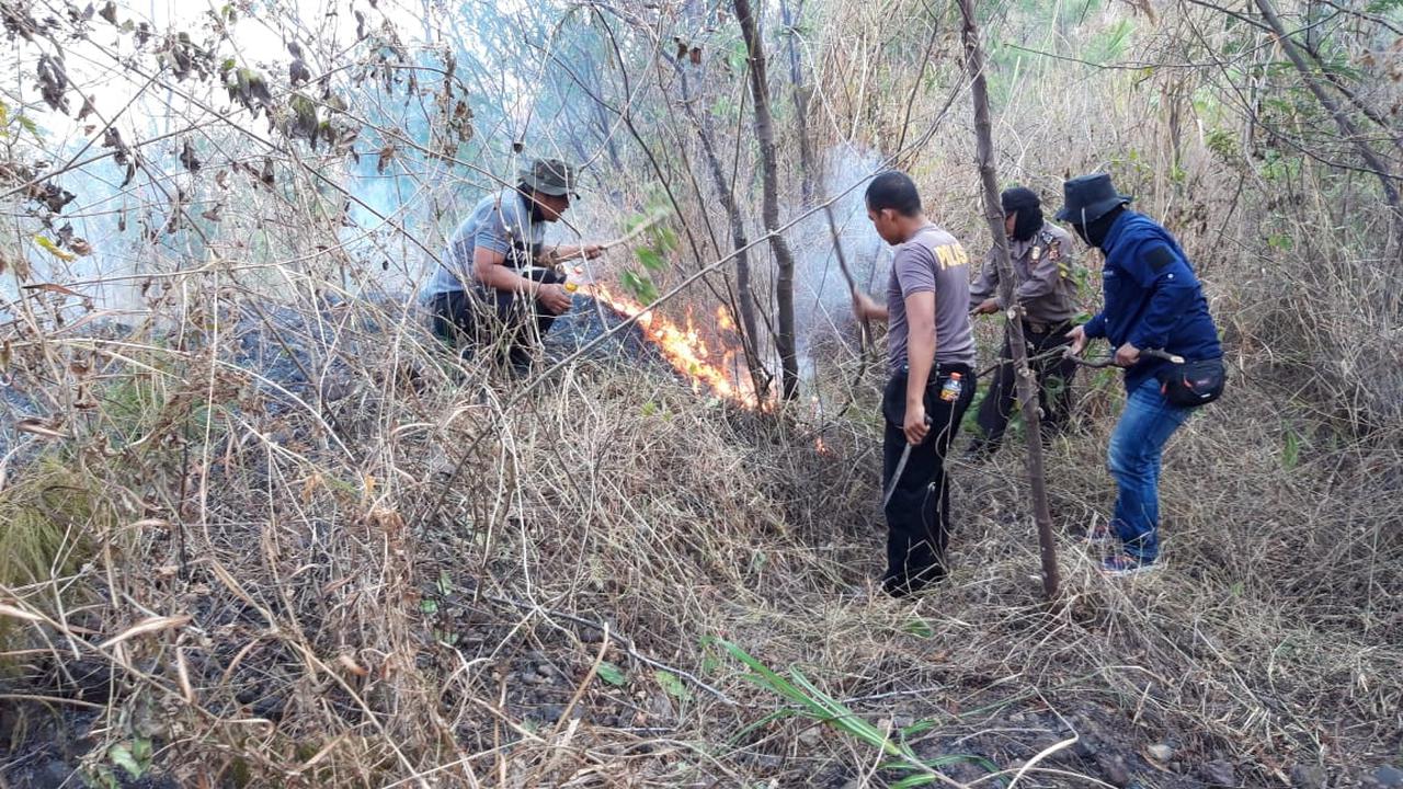 Prabowo Ingin Tambah, Berapa Jumlah Polisi Hutan di Indonesia?