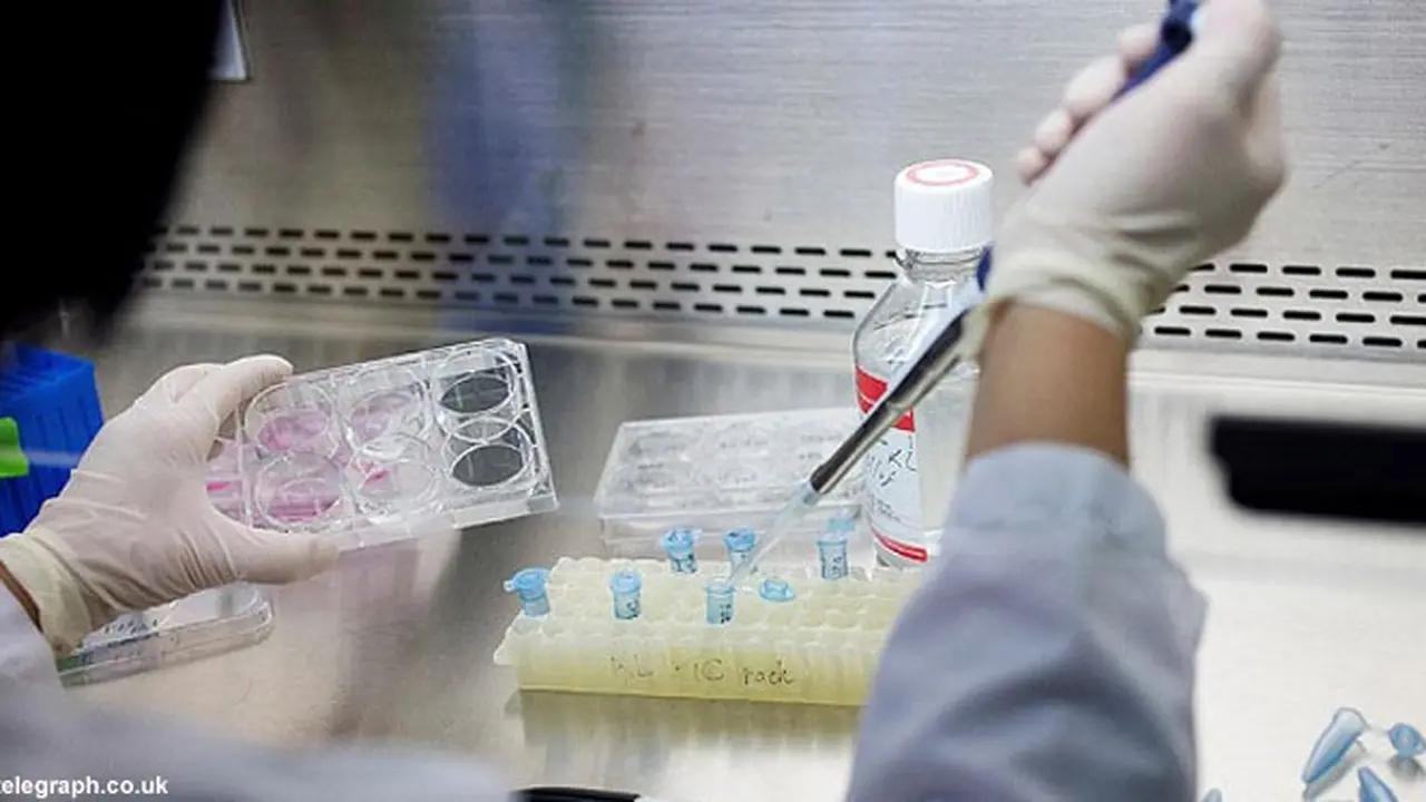 stemm-cell-131107b.jpg